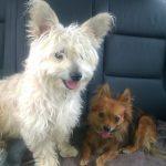 FreeToGetWild, 56 years old 11520164924120866482.jpg