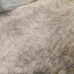 MidwestUncut c268214_picture6776aa304996a.jpg